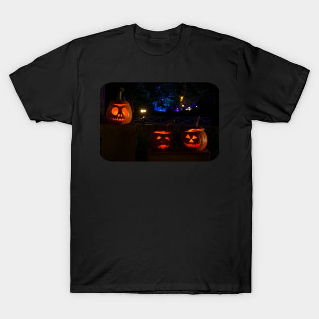 Halloween Pumpkins T-Shirt by ElviraDraat